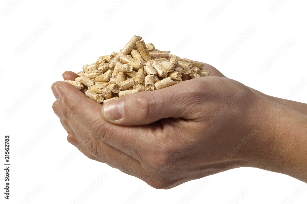Pellets - Brennstoff der Zukunft
