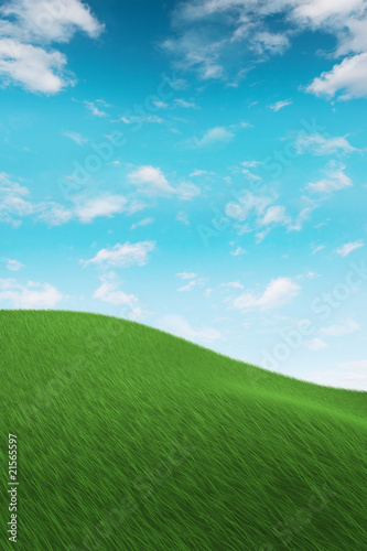 Grass on hilly meadow © 1xpert
