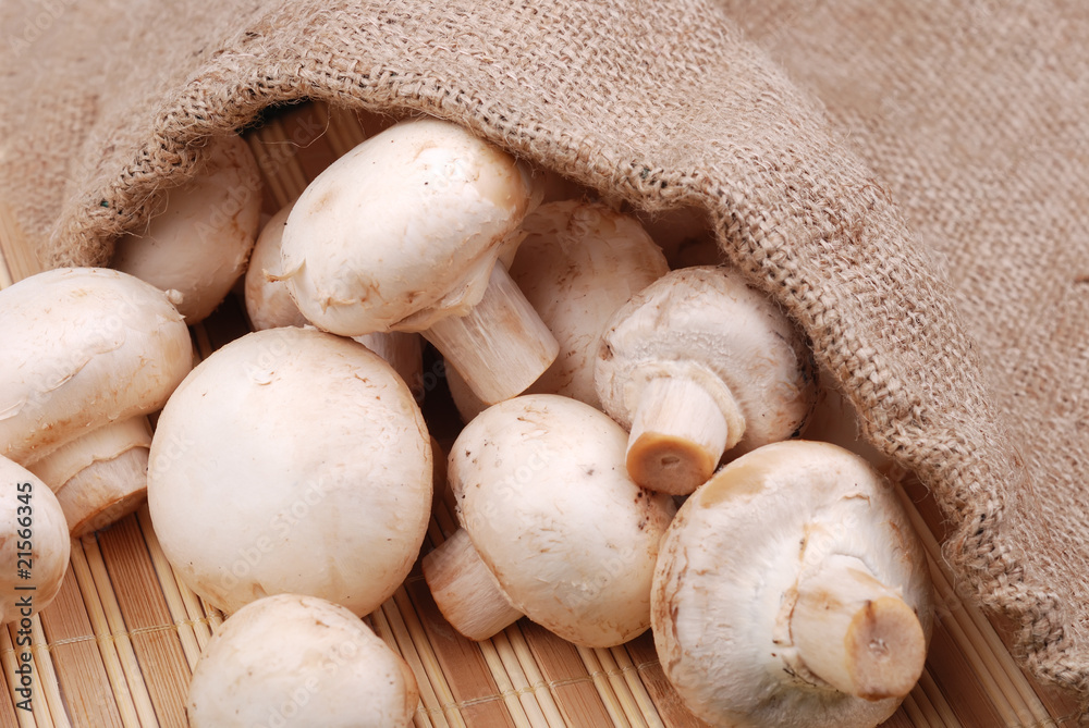 Fresh field mushrooms on a textile