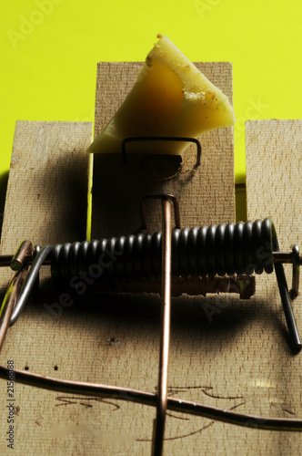 Trappola con formaggio photo