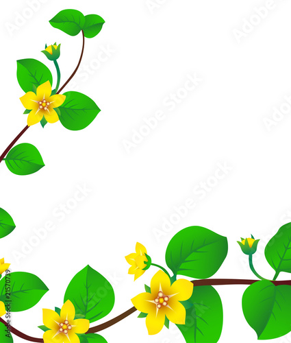spring blossom