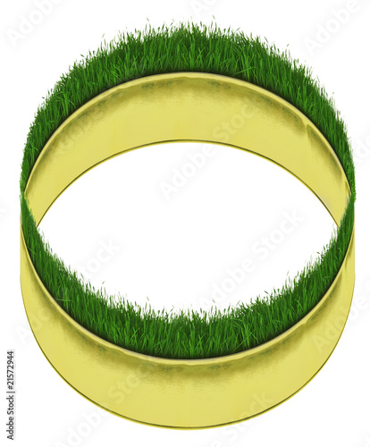 gras über die sache wachsen lassen