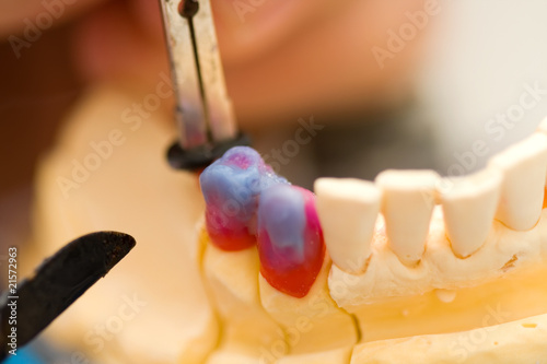 Working dental technician photo