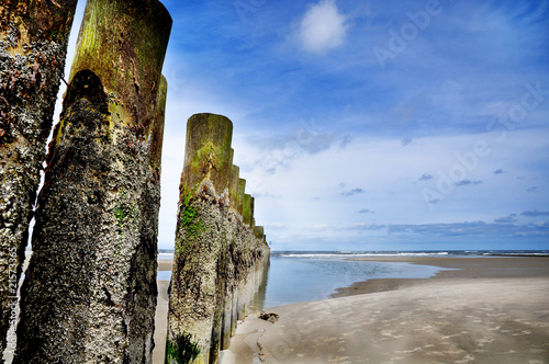 Wangerooge Buhne bei Ebbe