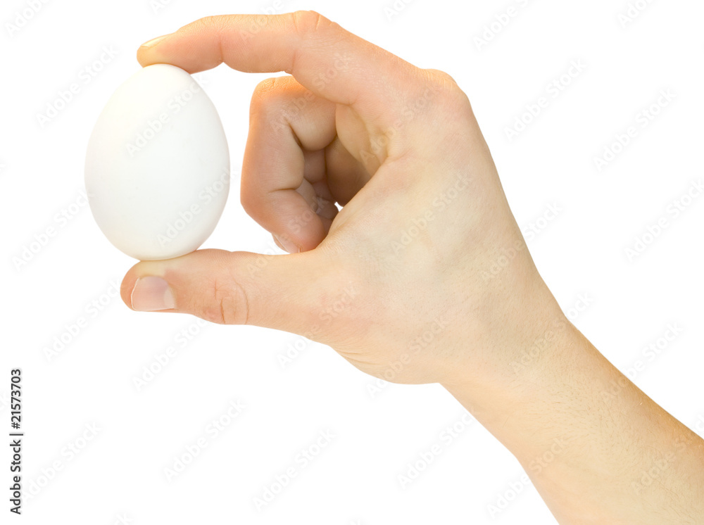Egg Egg