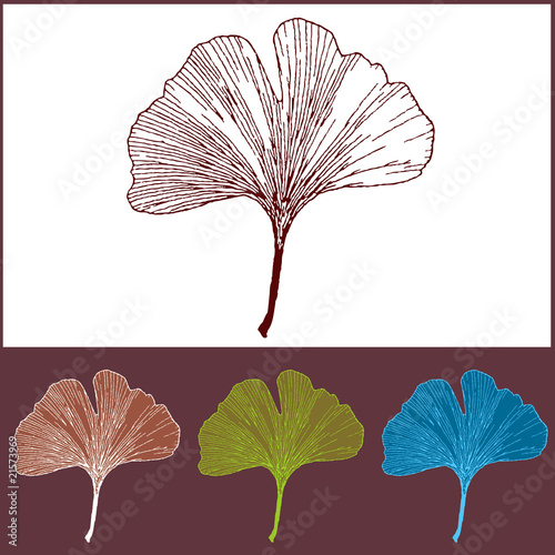 Feuille de Ginkgo - Plusieurs Couleurs
