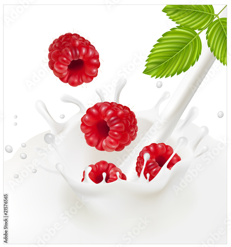 Ripe red raspberries falling into the milky splash.