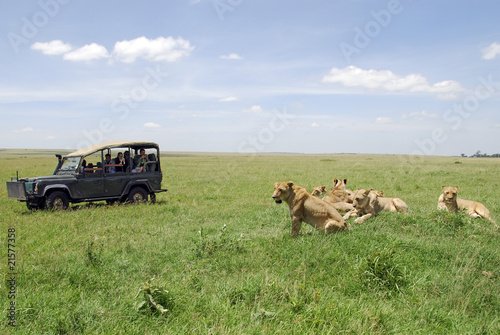 National Park Masai Mara