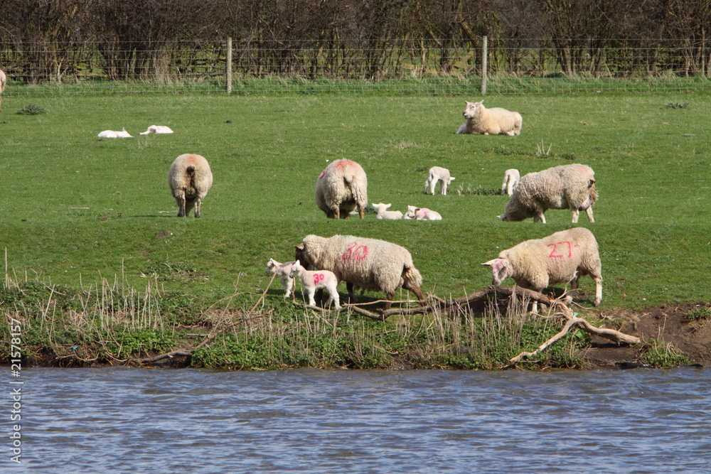 Obraz premium spring time