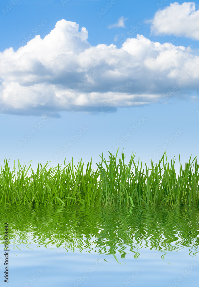 Fototapeta premium grass sky water