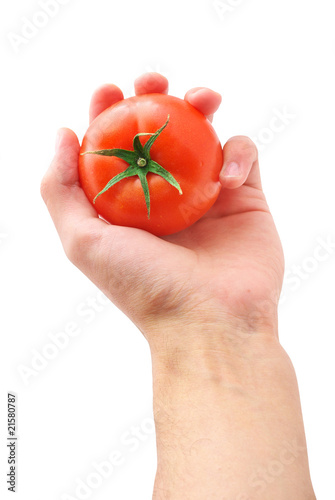 Tomato in hand