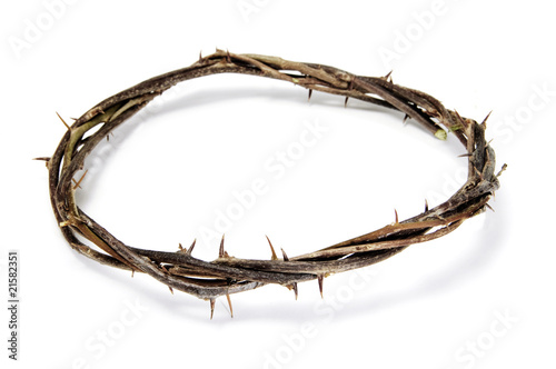 crown of thorns photo