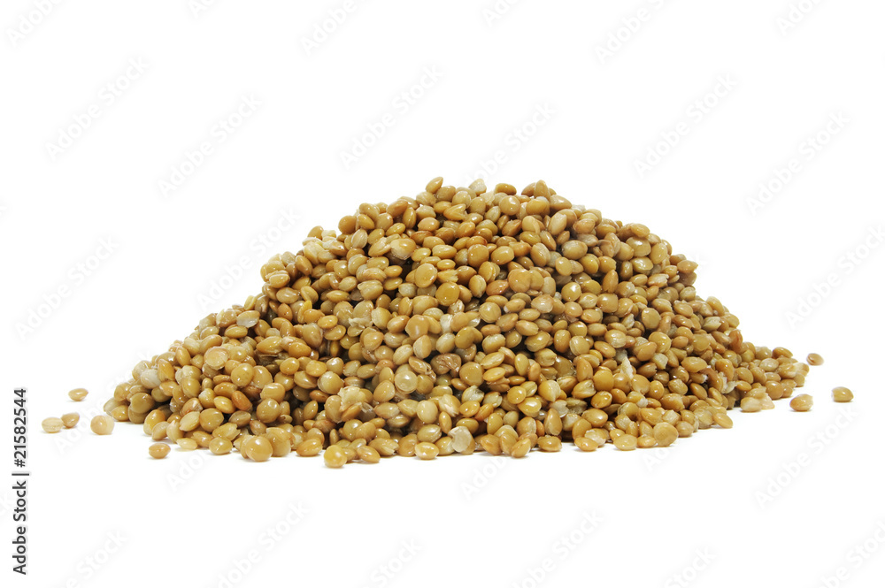 lentils lentils