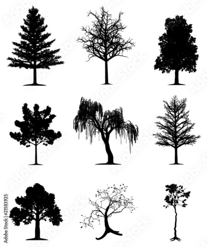 Trees collection