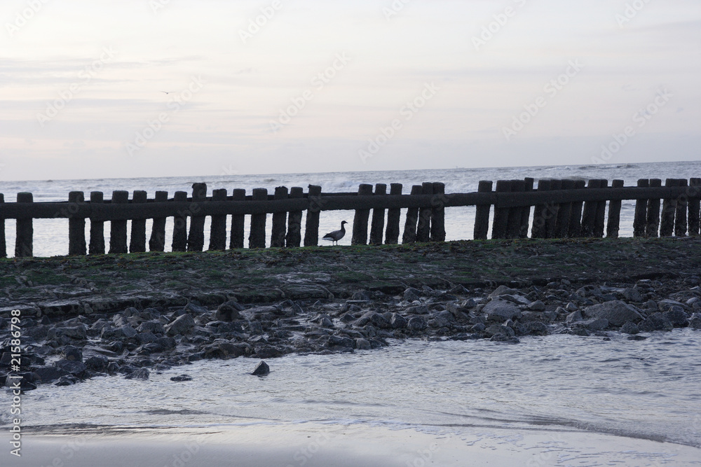 Fototapeta premium Grenzzaun