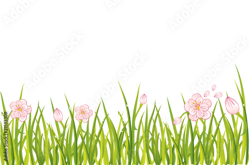 Sprind flowers in the grass