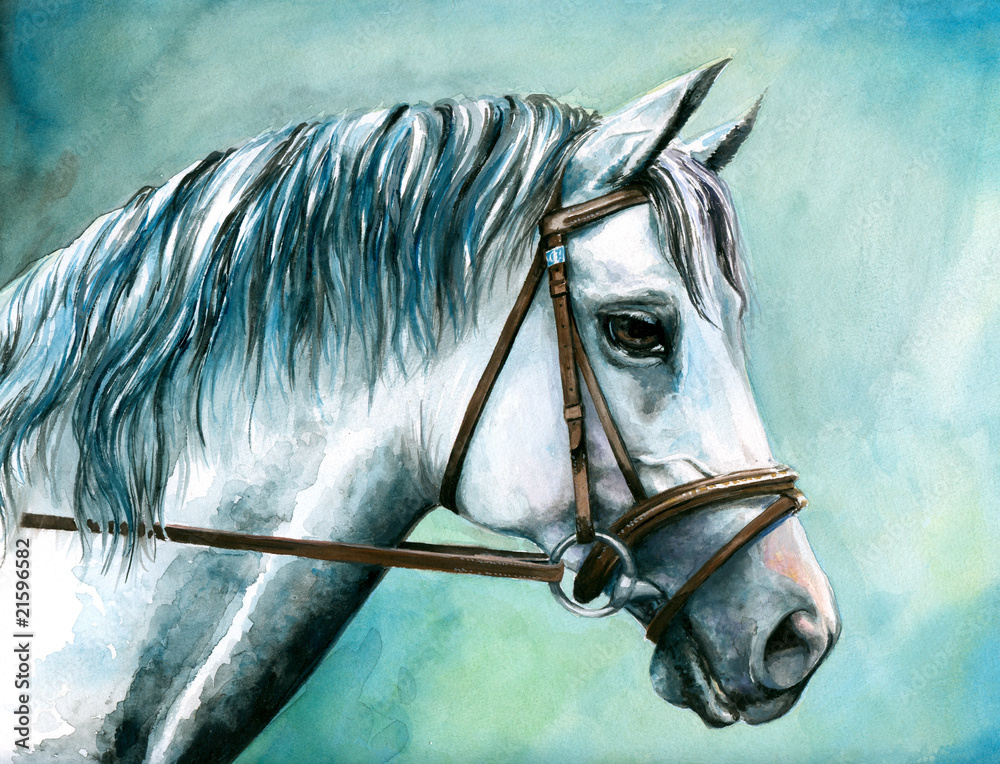 Obraz Akwarela malowane konia szary.