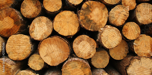 Wood log pile