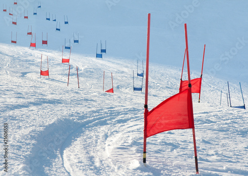 Ski gates with parallel slalom photo