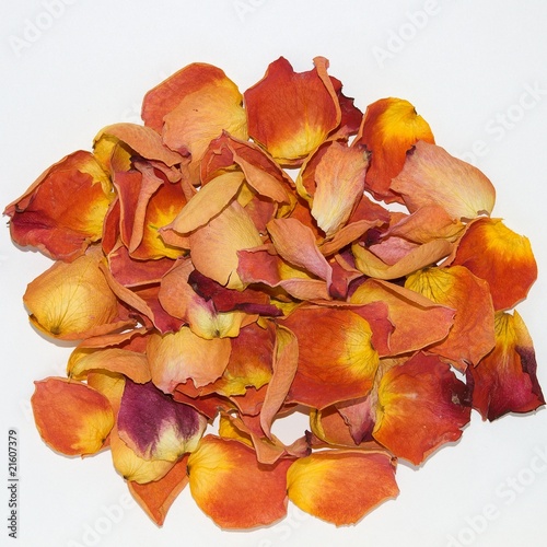 dried rose petals