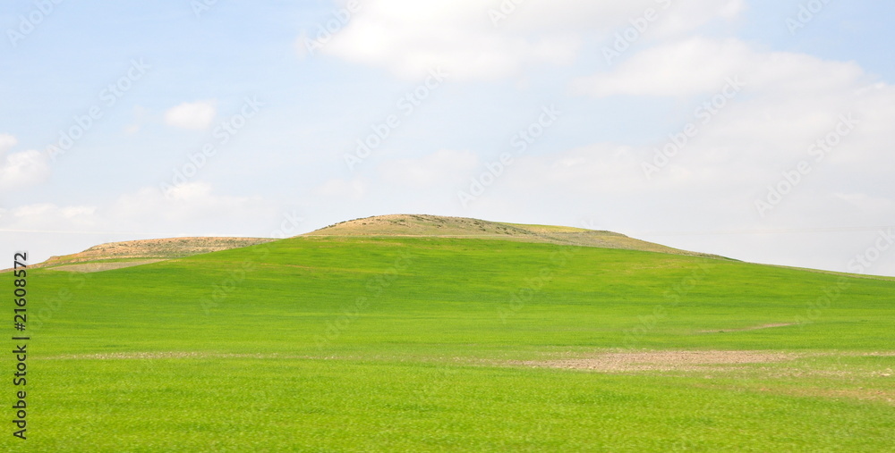 verte algerie verte algerie