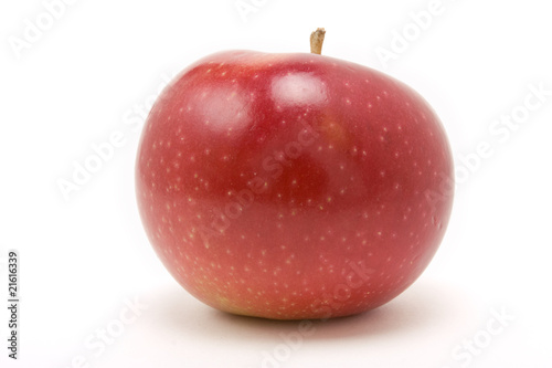 Red macintosh apple photo