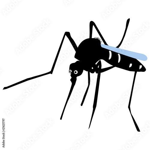 mosquito