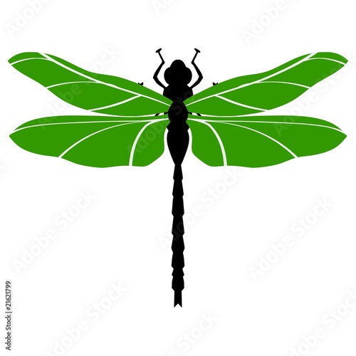 Dragonfly