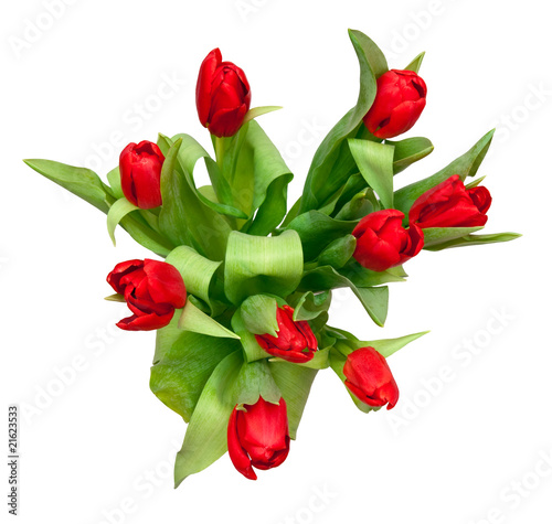 red tulips