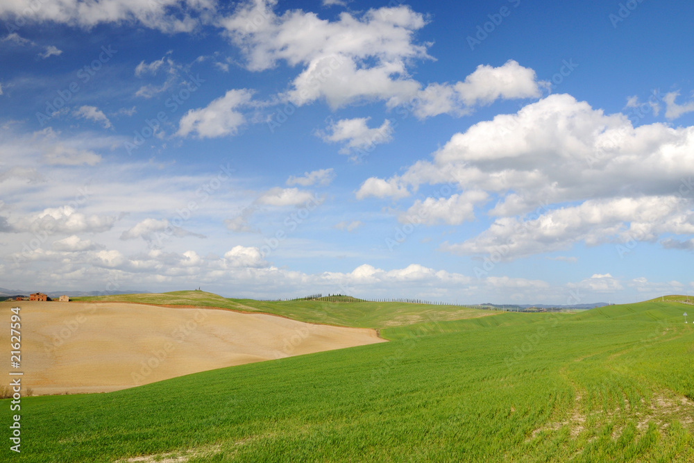 Paesaggio Siena e Dintorni