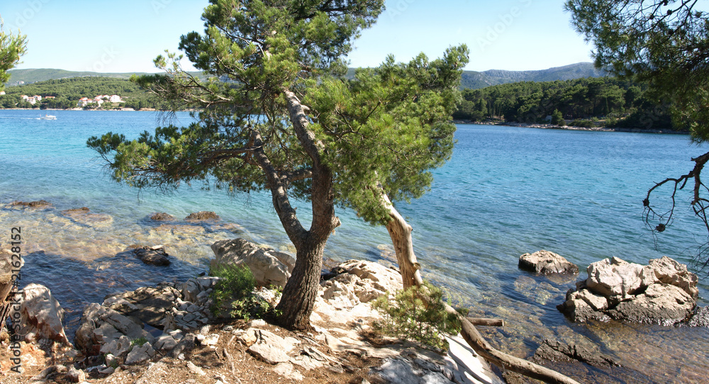 Adriatic seaside