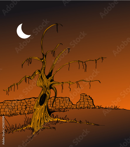 paisaje de nocturno