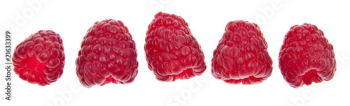 Line of Raspberries
