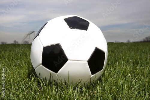 soccer ball on grass II © Tim Glass