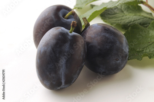 Prugna - Prunus domestica