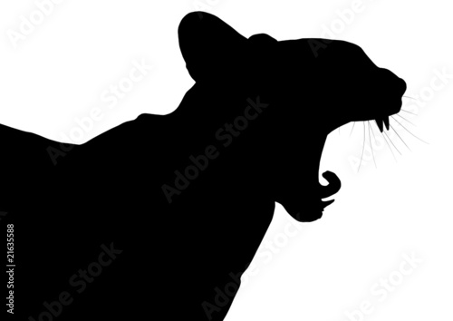 chat profil