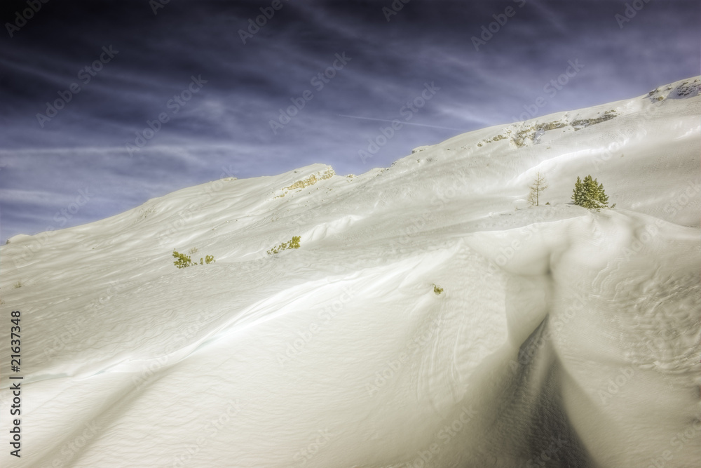 Winterwunderland
