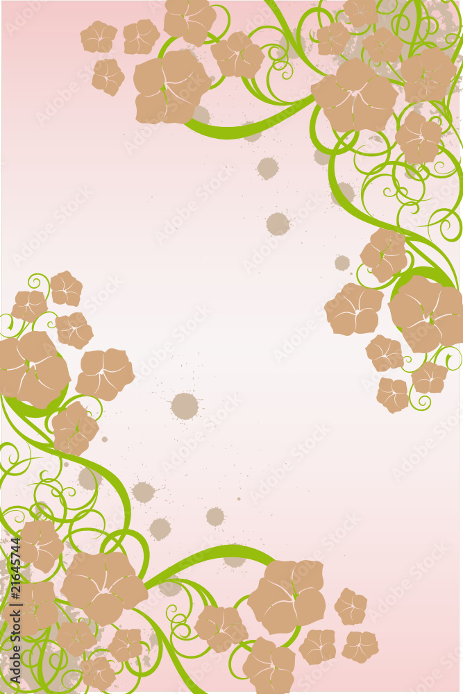 cadre rose