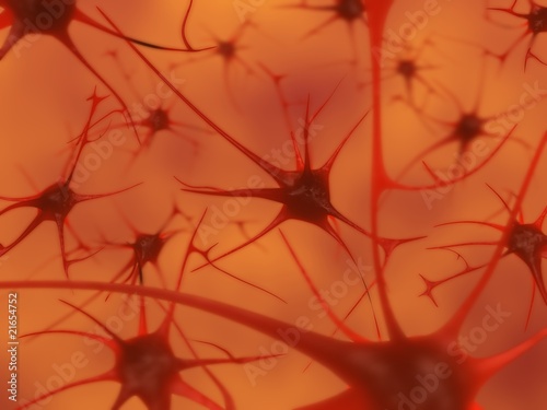 neurons in the brain