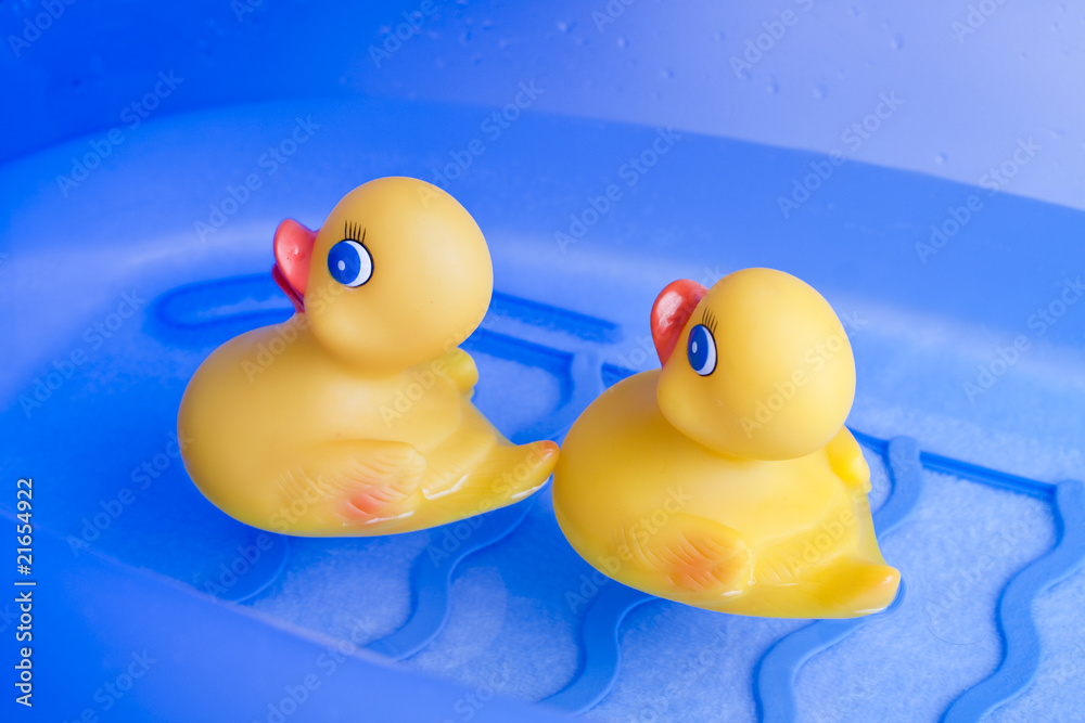 Bath toy