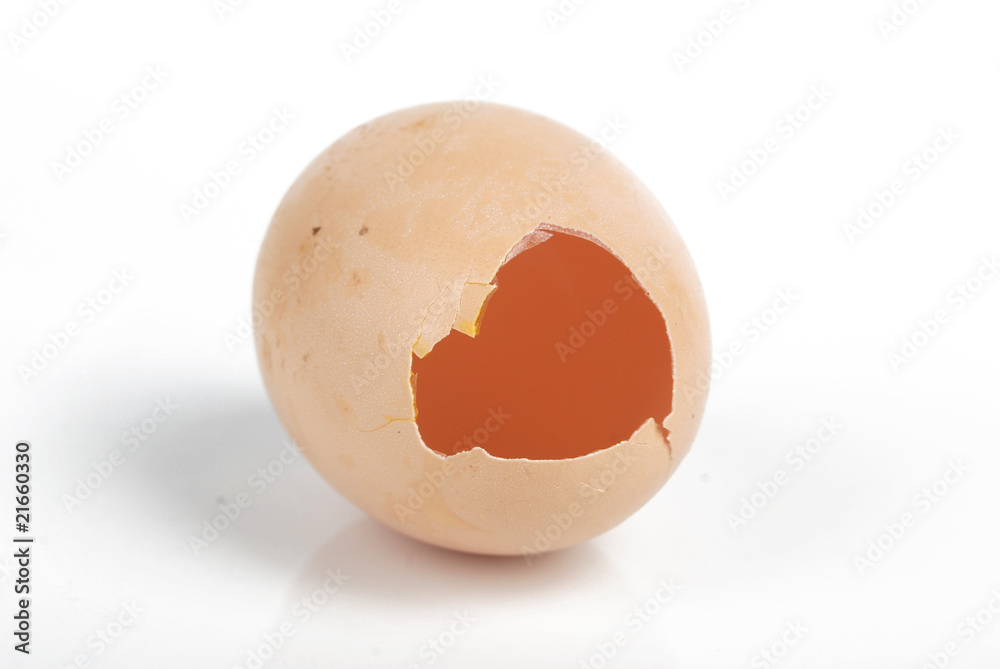 eggshell