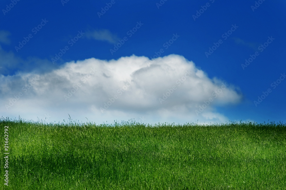 Green grass and blue sky