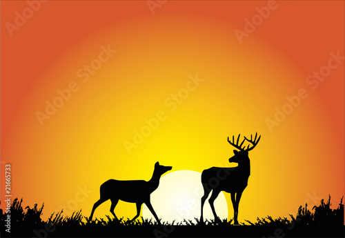 two deers at sunset illustration