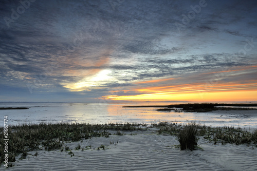 Vue à marée basse sur le bassin d'arcachon