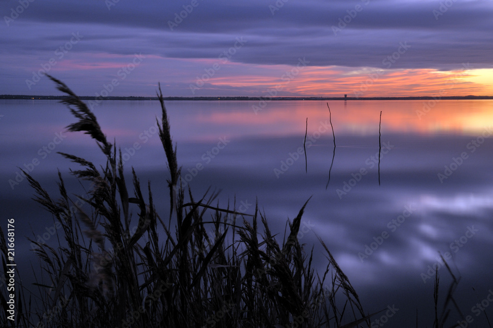 Roseaux à la tombée de la nuit sur le bassin d'arcachon Roseaux à la tombée de la nuit sur le bassin d'arcachon