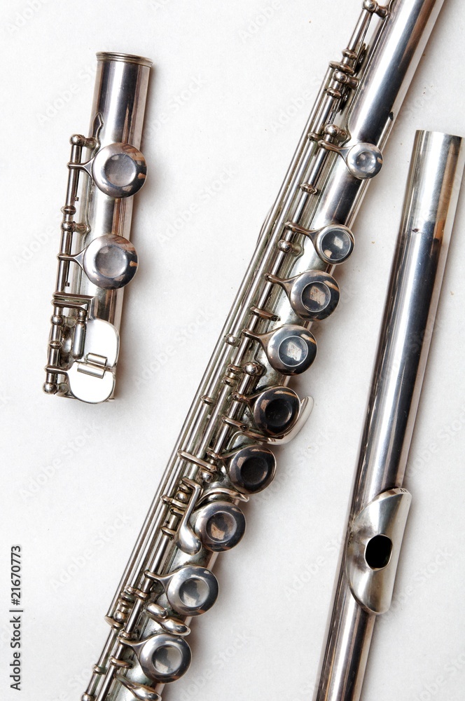 Fototapeta premium Querflöte