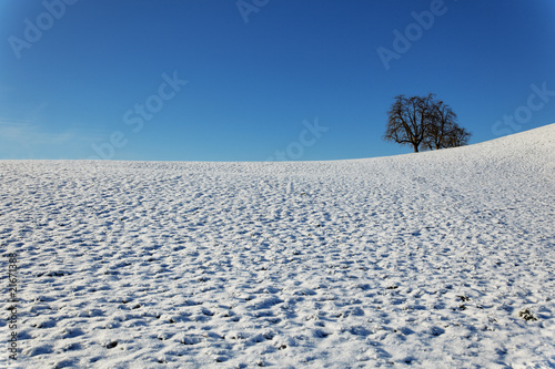 winterlandschaft