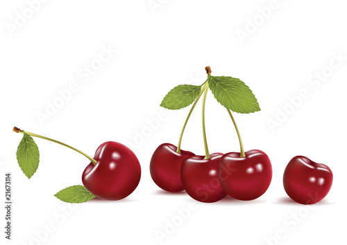 cherry on white background