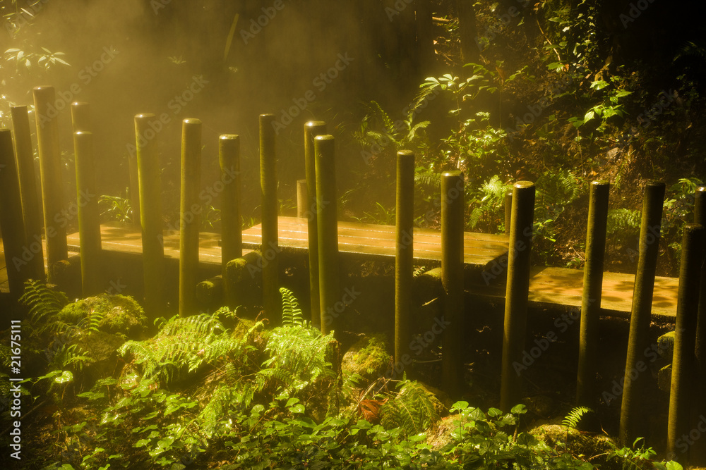 Fototapeta premium Boardwalk in a mist forest