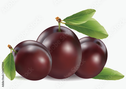 plum on a white background